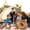 Coffee, variant on Cat Houses for Indoor Cats Cat Bed Cave, Soft Plush Fur Kitten Bed, Fluffy Pet Cave Non-Slip, Anti Anxiety for Small Dogs Kittens dogs's Nests Dog's Nests Pet Mat
