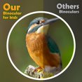 thumbnail image 3 of Portable Kids Binoculars Outdoor Bird Watching Star Gazing Birthday Gift Toy Random Color, 3 of 7