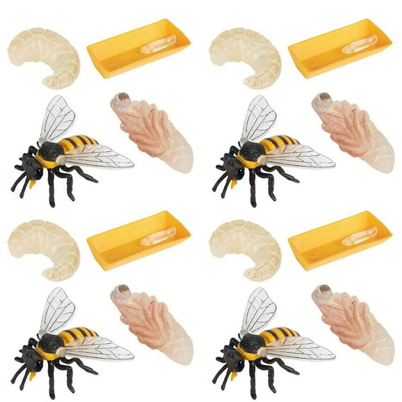 Pack of 12 Insect Figurines Life Cycle of Realistic Insects Figures Toys Educational Science Model Toy,12 * bee growth cycle models