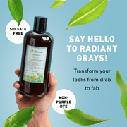 Just Nutritive Gray Hair Shampoo, Strengthening, Brightening, Nourishing, Vegan, Color Safe, Sulfate-Free, 16 oz