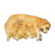 thumbnail image 2 of Figura de perro en miniatura,Figura de perro en miniatura para decoración de jardín de hadas,Figura de animal en miniatura para maceta decorativa,Accesorios para casas de muñecas con Amarillo, 2 of 8