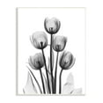 thumbnail image 4 of Stupell Industries Abstract Flower Silhouette Monochrome Tulips Design, 10 x 15, Design by Albert Koetsier, 4 of 5