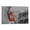 Frame-style, variant on Demaryius Thomas Canvas Poster Poster Cool Artworks Painting Wall Art Canvas Prints Hanging Picture Home Decor Posters Gift 16x24inch(40x60cm)