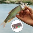 thumbnail image 1 of Cebo Artificial Perfecl Surtido de Moscas de Pesca con Caja Impermeable, 1 of 8