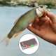 thumbnail image 2 of Juego de moscas atadas, moscas streamer, caja de moscas, surtido de moscas de pesca, moscas húmedas E, 2 of 9
