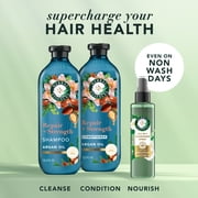 Herbal Essences Repair + Strength Argan Oil Shampoo, Paraben-Free, 13.5 fl oz