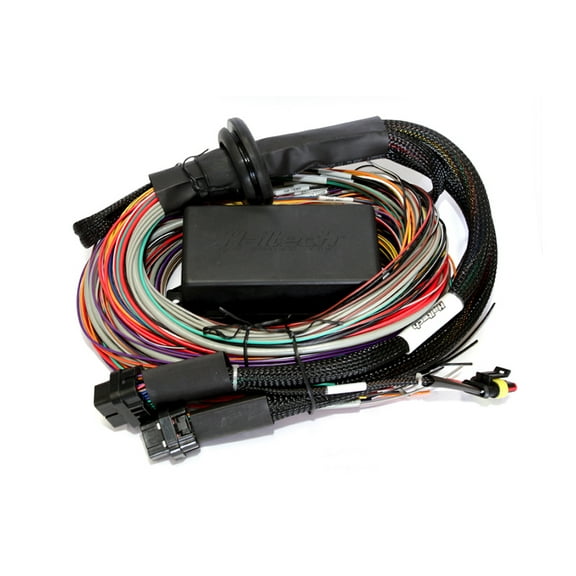 Haltech Elite 2500/2500 T Premium Universal Wire-In Harness - 2.5m (8ft)