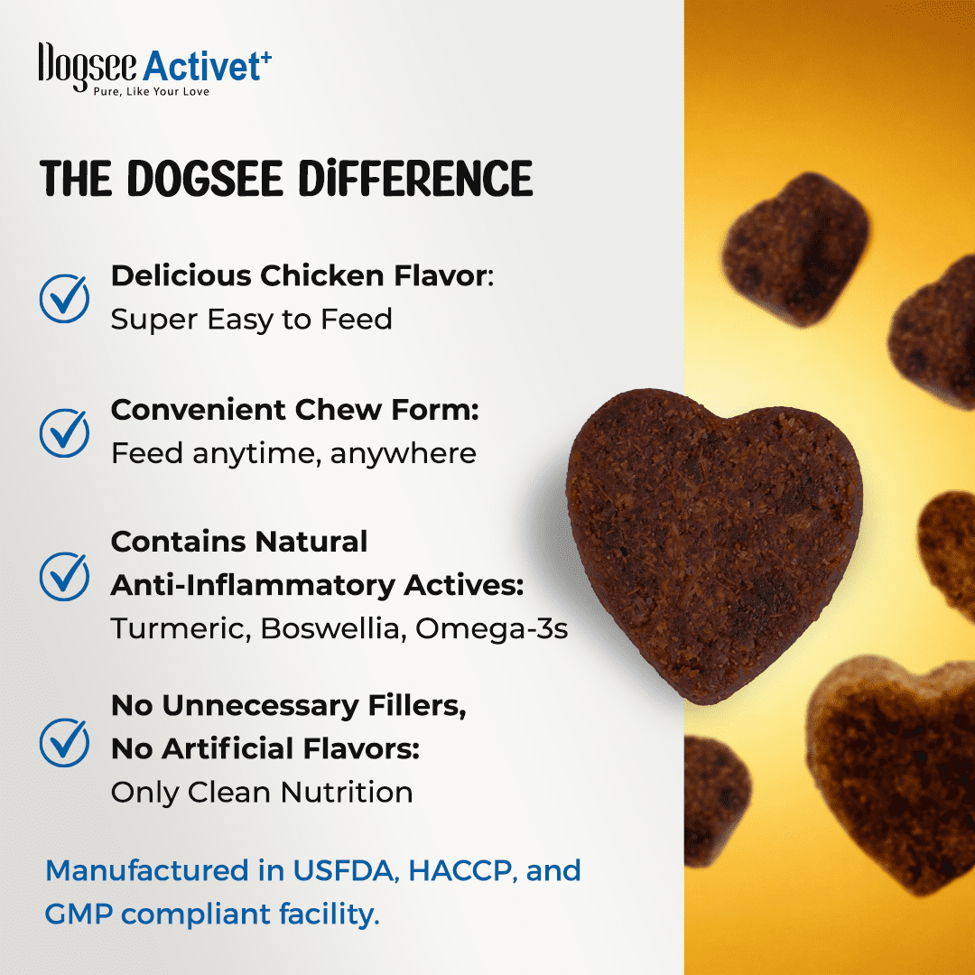 Dogsee Activet+ Dog Skin Coat Supplement Chews, with Omega 3, Omega 6, Biotin & Collagen, Itchy Skin & Shiny Coat Support, Chicken Flavor – 90 Chews