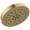 Champagne Bronze, variant on Delta 52488 Universal Showering Components 1.75 GPM Multi Function Rain Shower Head -
