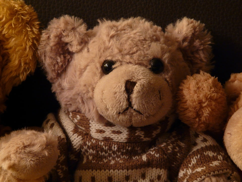 soft fluffy teddy bear