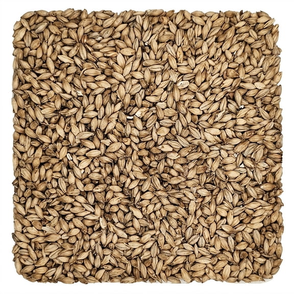Home Brew Ohio 6-Row Grain 55lb