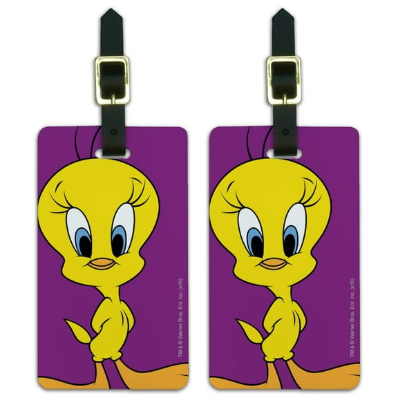 Looney Tunes Tweety Bird Luggage ID Tags Suitcase Carry-On Cards - Set of 2