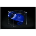 thumbnail image 4 of Deluxe Acrylic Baseball Batting Helmet Display Case with Orange Risers, Mirror and Turf Base (A012-OR), 4 of 7