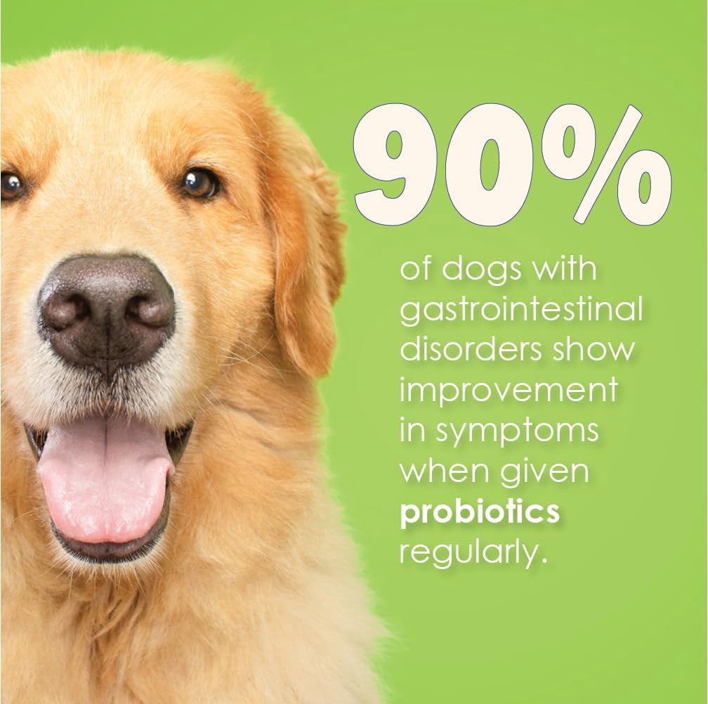 Proflora Probiotics for Dogs-Complete Gut Health & Immune Support. Easier Diet Transitions, Healthier Skin & Coat & Helps Treat Diarrhea. 30 Powder Packets