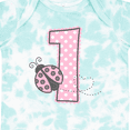 thumbnail image 4 of Inktastic Pink Ladybug 1st Birthday Girls Baby Bodysuit, 4 of 5