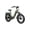 Green, variant on Magicycle Electric Bike for Adults, 750W Ebike with 52V 20Ah Removable Battery, 100 Miles, 28mph Max Speed, 7 speed,20'' Fat Tires Commuter City Cruiser Electric Bicycles, UL2849