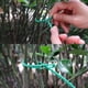 thumbnail image 5 of Apuakthei 100 piezas de bridas ajustables para plantas de jardín, bridas de plástico flexibles multiusos para asegurar vides (verde), 5 of 7