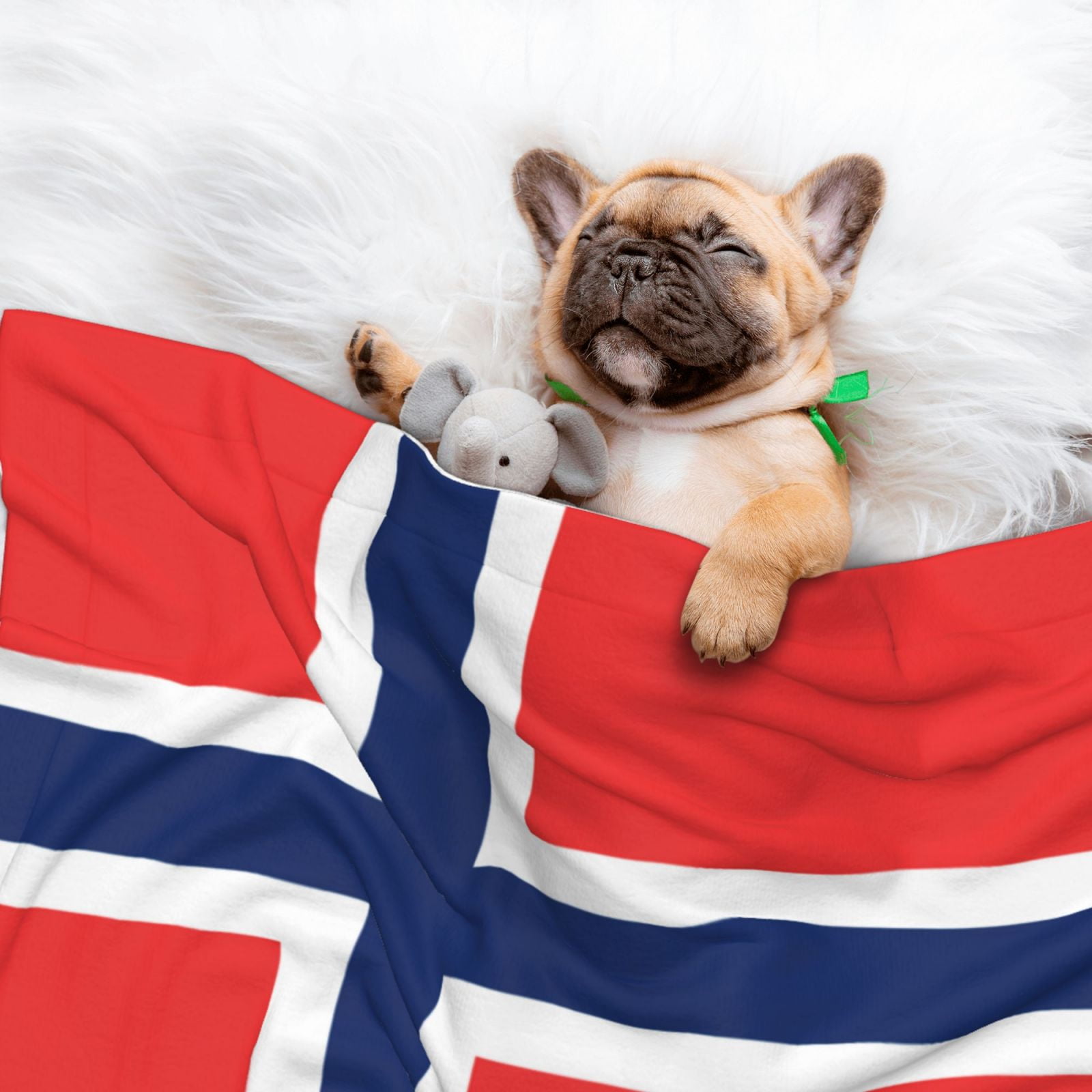 Flannel Throw Dog Blanket Norway Flag Soft Warm Print Pet Blankets for Small Dog Cat Puppy