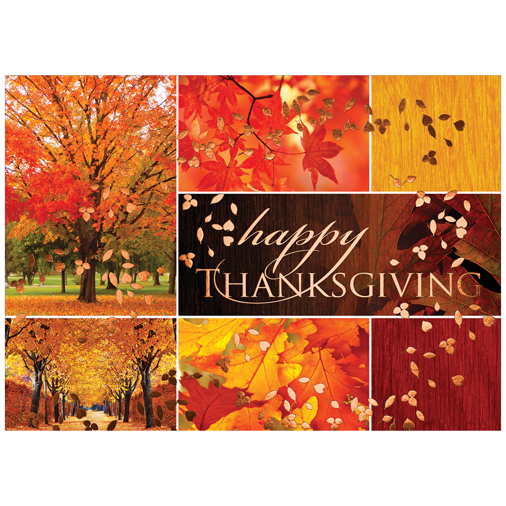 JAM Paper Blank Thanksgiving Card Sets - Thanksgiving ...