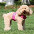 thumbnail image 3 of MesaSe Dog Reflective Collars Harnesses Leads Vest Harness Pet Harness for Small Medium Large Dogs Collars Harnesses Leads, 3 of 4
