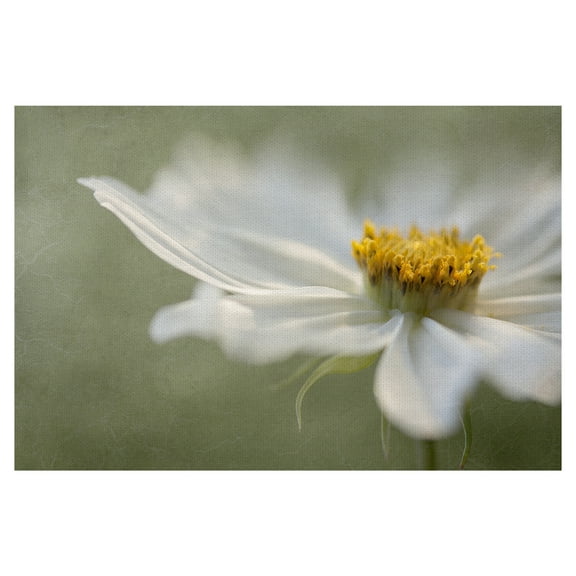 Masterpiece Art Gallery Whisper Of Daisies By Mandy Disher Canvas Art Print 24" x 36"