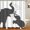 -, variant on Animal Elephant Fabric Shower Curtain Family Elephant Silhouette Waterproof Polyester Bathroom Set with Hooks Funny Animal Home Decor 72x72INCH