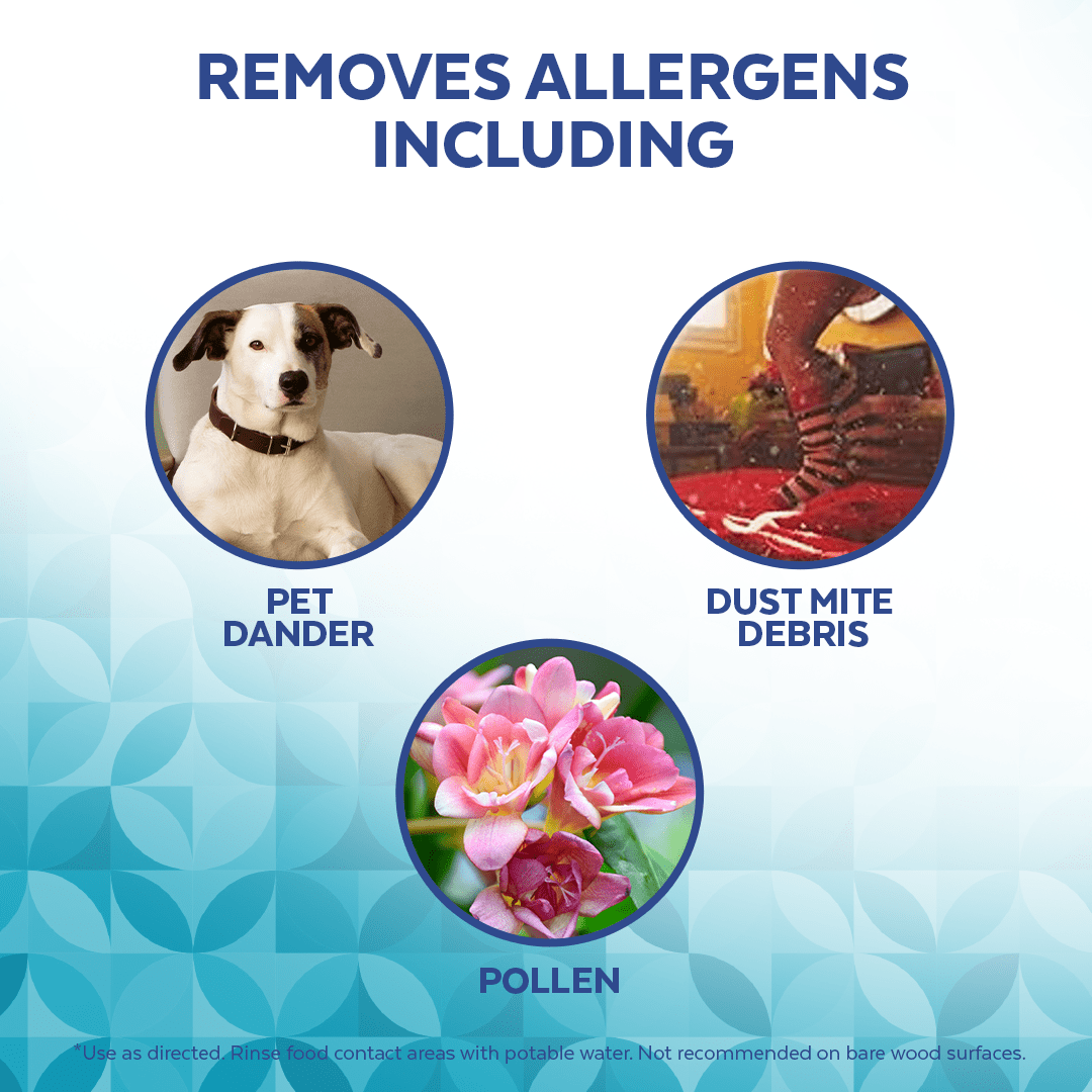 LYSOL® DISINFECTING WIPES - Brand New Day™ Coconut and Sea Minerals, 75ct