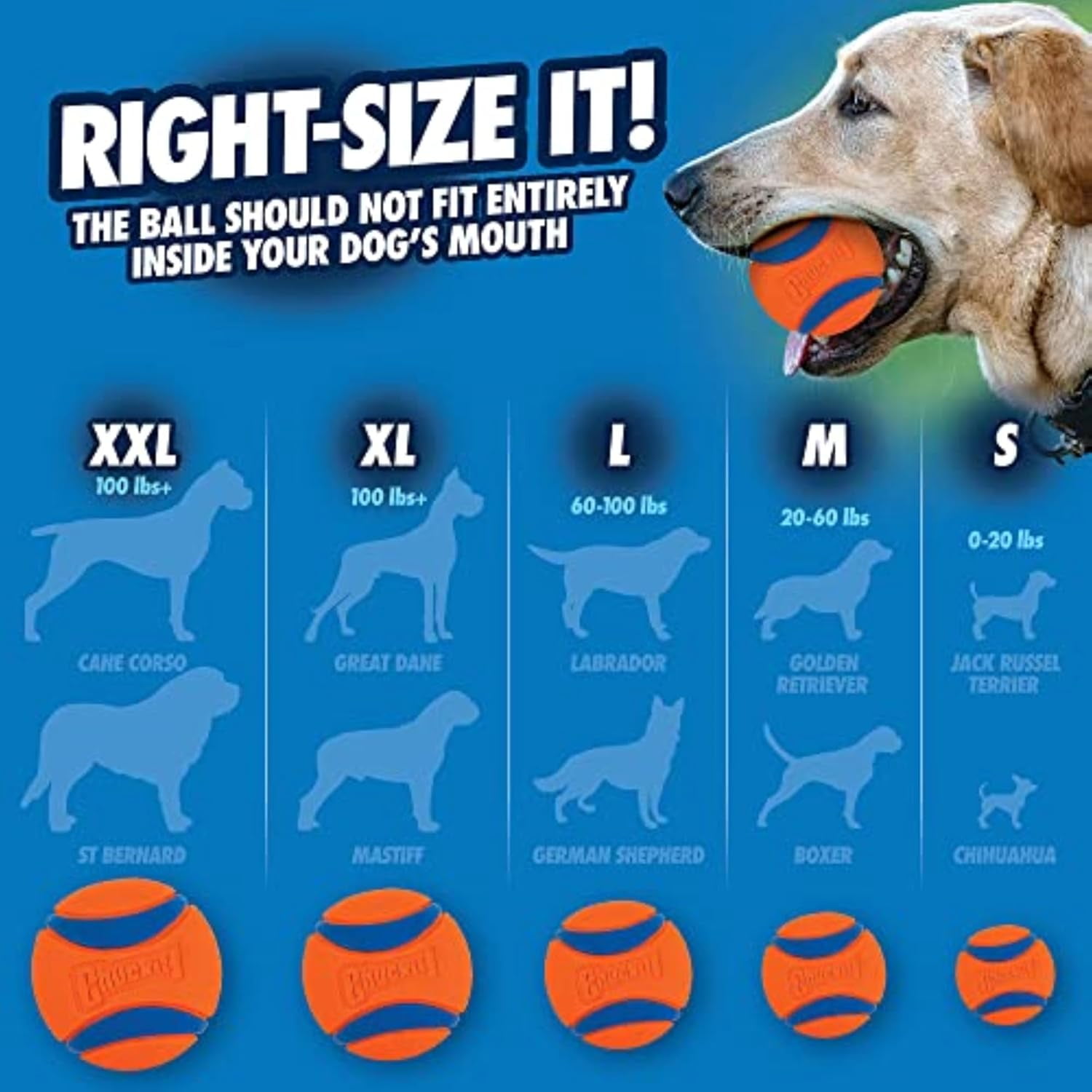Chuckit! Ultra Ball Rubber Fetch Dog Toy with Carry and Clean Bucket, Includes 8 Medium (2.5") Ultra Balls, for Dogs 20-60 lb