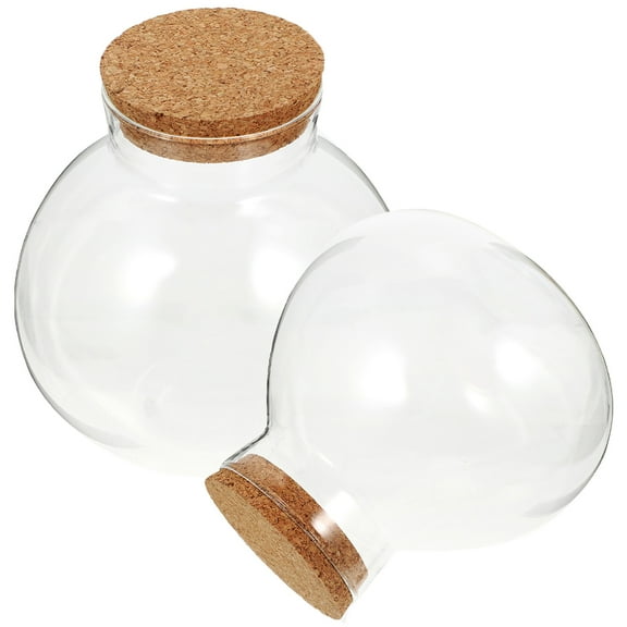 MIPCASE 2Pcs Clear Glass Plant Terrarium Bottles Creative Design Multi Use Home Storage