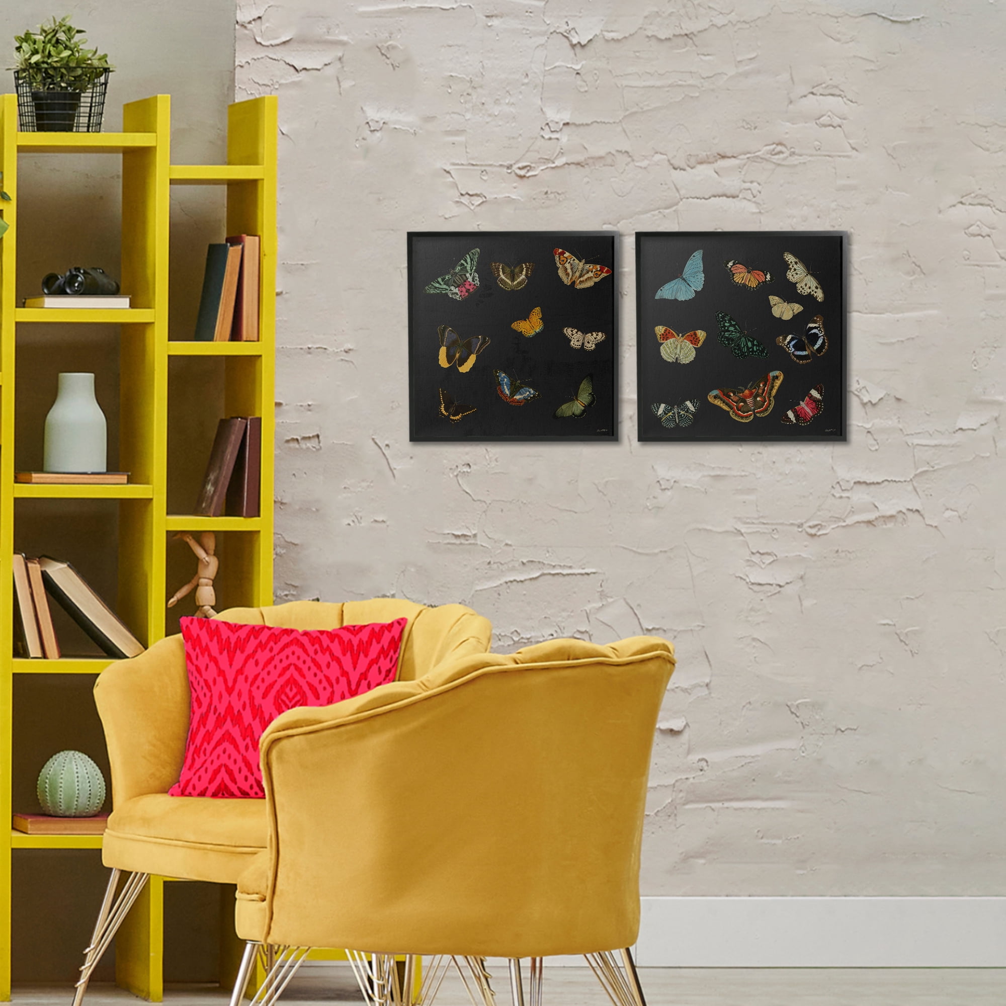 Stupell Industries Entomology Collection on Black 2 Piece Black Framed Giclee Art Set, design by Dan Meneely