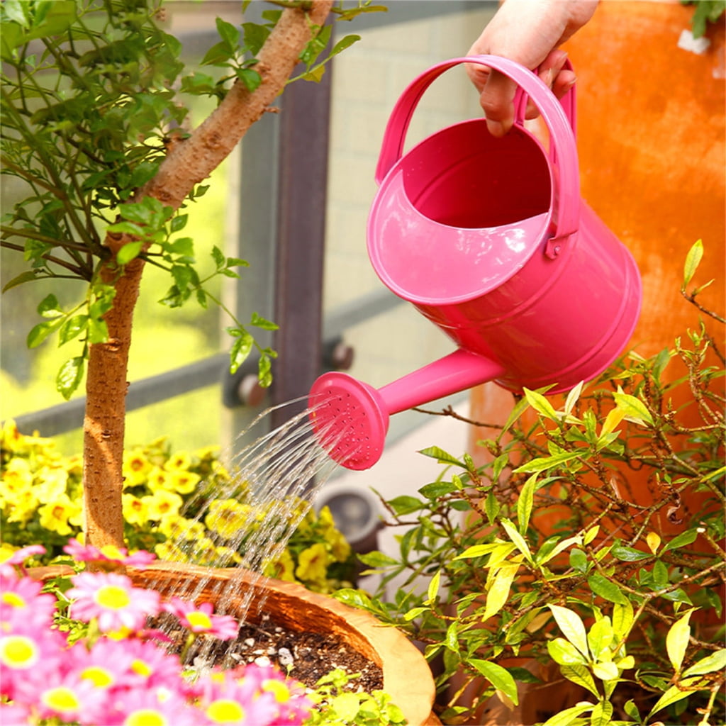 Watering Can for House Plant Garden Flower Indoor Plant Small Watering Can