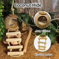 thumbnail image 2 of Accesorios para terrarios para gecko leopardo Kathson con casita de cáscara de coco, 2 of 7