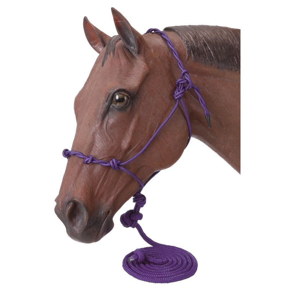 Pony Equine Headcollar Official Libby's Rope Show Halter 8" or 12" nose Horse 