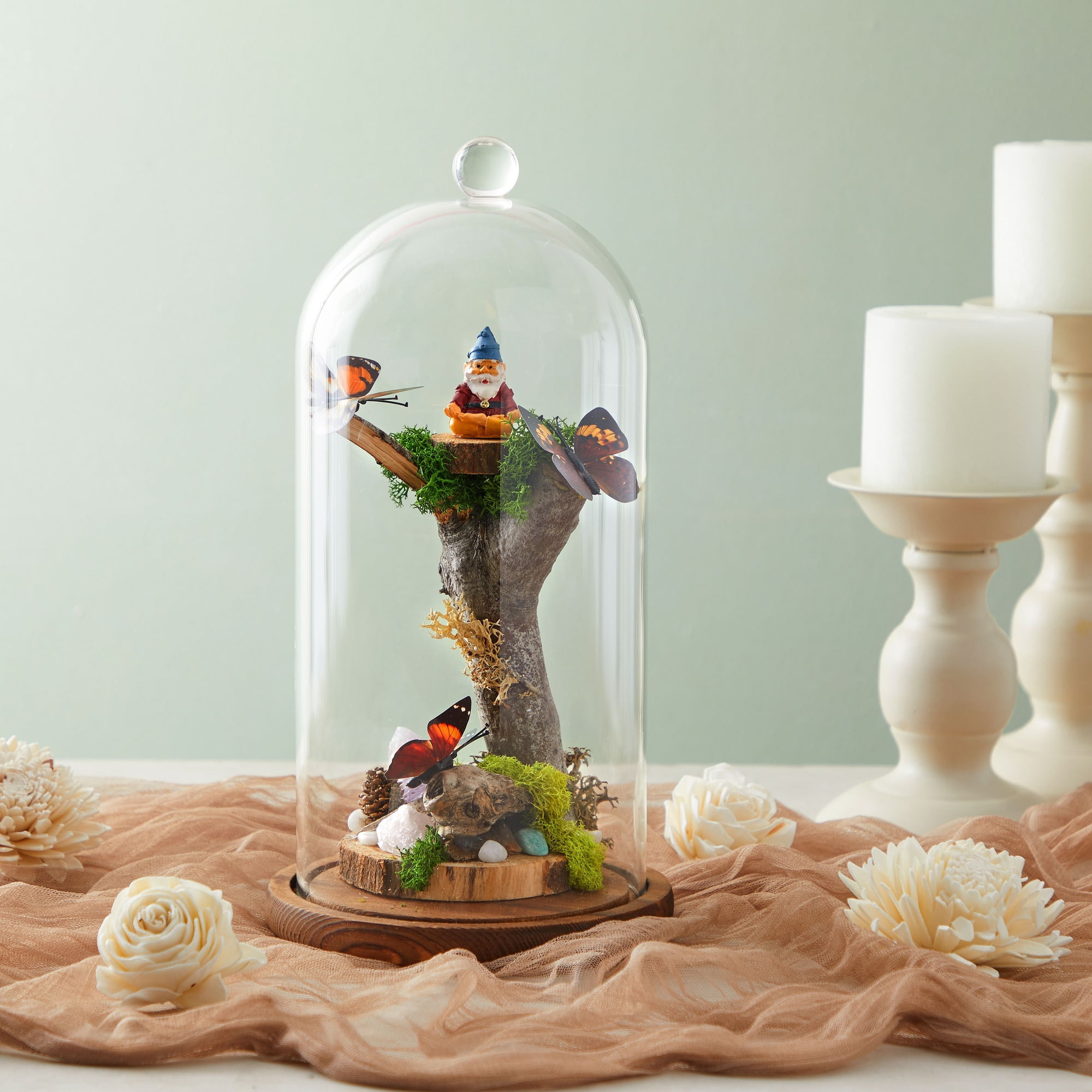 Decorative Glass Cloche Dome Bell Jar with Wooden Base for