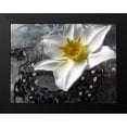 thumbnail image 2 of Lavoie, Tina 14x12 Black Modern Framed Museum Art Print Titled - Frost Queen, 2 of 5