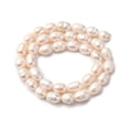 thumbnail image 7 of Natural Cultured Freshwater Pearl Beads Strands with Screw Thread Rice Creamy White 7~8mm Hole: 0.8mm about 38pcs/strand 13.77 inch~14.17 inch, 7 of 7