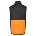 thumbnail image 3 of Regatta Mens Halton VII Padded Vest, 3 of 6