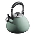 Mr Coffee Marlowe 3Quart Belly Shape Mint Green Tea Kettle