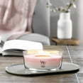 thumbnail image 4 of WoodWick Scented Trilogy Ellipse Candle, Melon Blossom | Coastal Sunset | Palo Santo, 16oz, 4 of 6