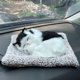 thumbnail image 2 of Gato de simulación, animales de peluche, juguete que llamará con estera de tela, gato durmiente, muñeco de peluche, regalos para niños, 2 of 3