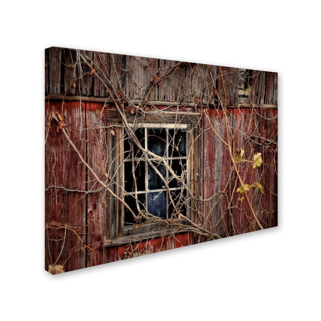 Lois Bryan 'Old Barn Window' Canvas Art