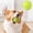Green, variant on Interactive Squeaky Ball Dog Toy Soft Rubber, Chew Ball with Textured Look for Puppy, Colorful Pet Play Toy for Small to Medium Dogs 2.4 Inch