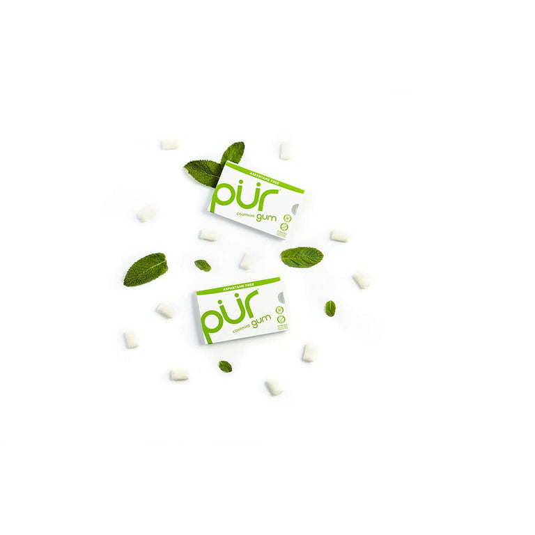 Cinnamon Chewing Gum (9 pc) by PUR - The Low Carb Market