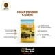 thumbnail image 2 of Combo Taste Of The Wild perro Adulto Bisonte y Venado Asado 12.7 Kg MAS Dos Latas Royal Canin Adulto, 2 of 5