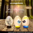 thumbnail image 5 of Ecosistema acuático cerrado, diseño transparente simple, 19x8,2 cm/7,48x3,23 pulgadas, 5 of 5