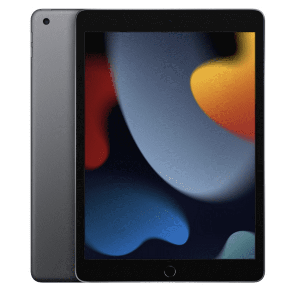 No Box: iPad 9th gen 256gb Wifi Grade A