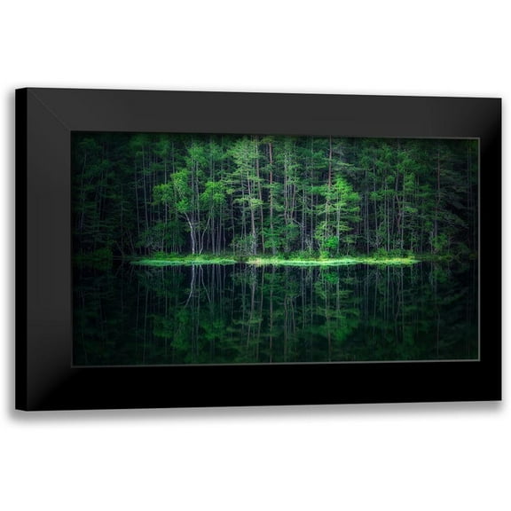 Mitamura, Takeshi 14x10 Black Modern Framed Museum Art Print Titled - Green World