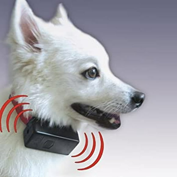 As Seen on TV Bark Control Collar Smart Electronic Stop Barking Pet Traner