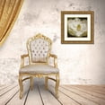 thumbnail image 3 of Grey, Jace 15x15 Gold Ornate Wood Framed with Double Matting Museum Art Print Titled - Magnolia Paris Mate, 3 of 4