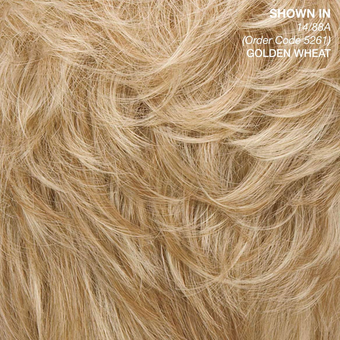 Paula Young Long Color Me Beautiful WhisperLite Wig Long, Soft Wispy Layers with Sides Brushed Forward Or Back For A Natural Look/Multi-tonal Shades of Blonde, Silver, Brown, and Red